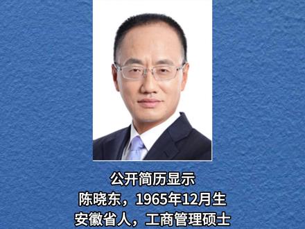 陈晓东，税务领域的杰出领军人物