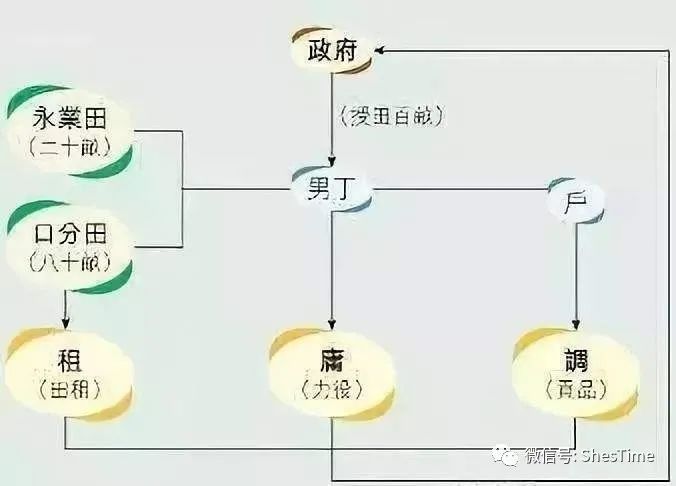 税务稽征，保障税收法制，助力经济稳健前行