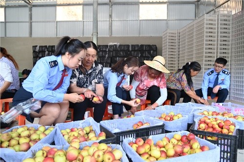 弥渡税务发展与改革概览