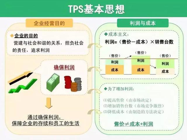 TPS税务，税务处理系统的核心要素解析