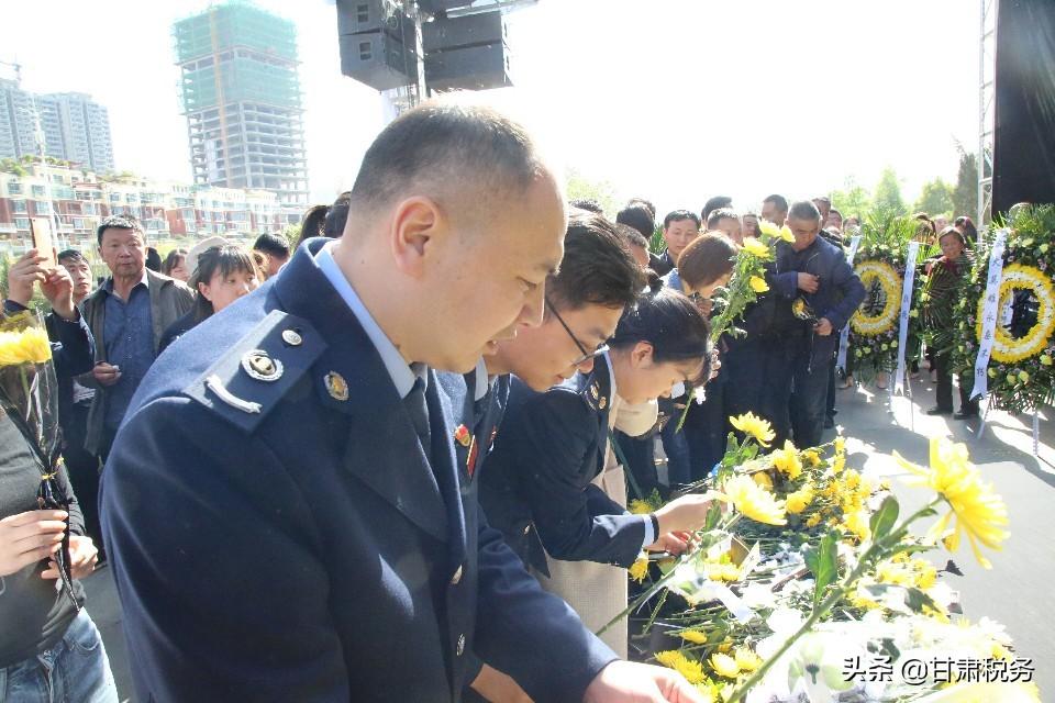 菊花税务，探索税收与生态和谐共生的智慧之路