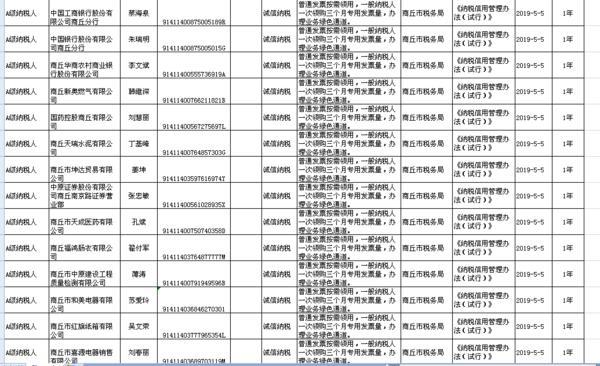 年度税务发票的重要性与管理策略解析