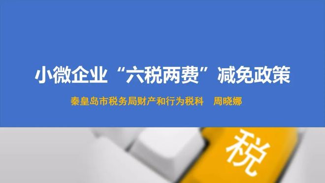 税务蓝的世界，探索行业魅力与未来展望