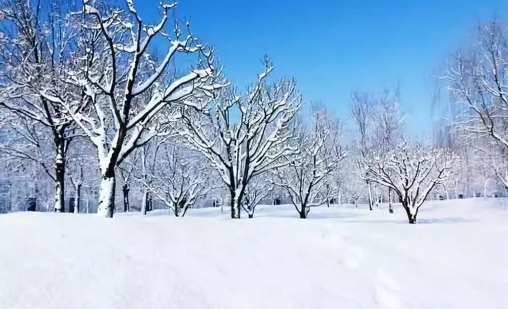 税务专家邹鹏程，财税领域的卓越实践探索