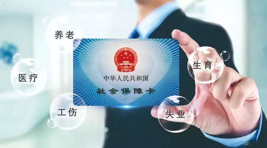 社保税务，构建稳健社会保障网与高效税务体系的双重挑战