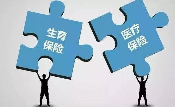 税务与财政融合深化，财政改革与税收体系优化之道