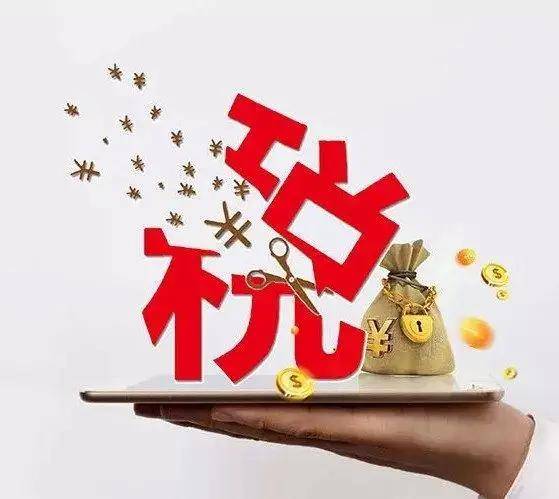 金税税务师，引领税务领域的精英力量领航者