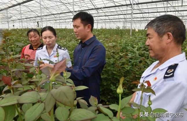 昆明税务局电话，服务群众，搭建沟通桥梁