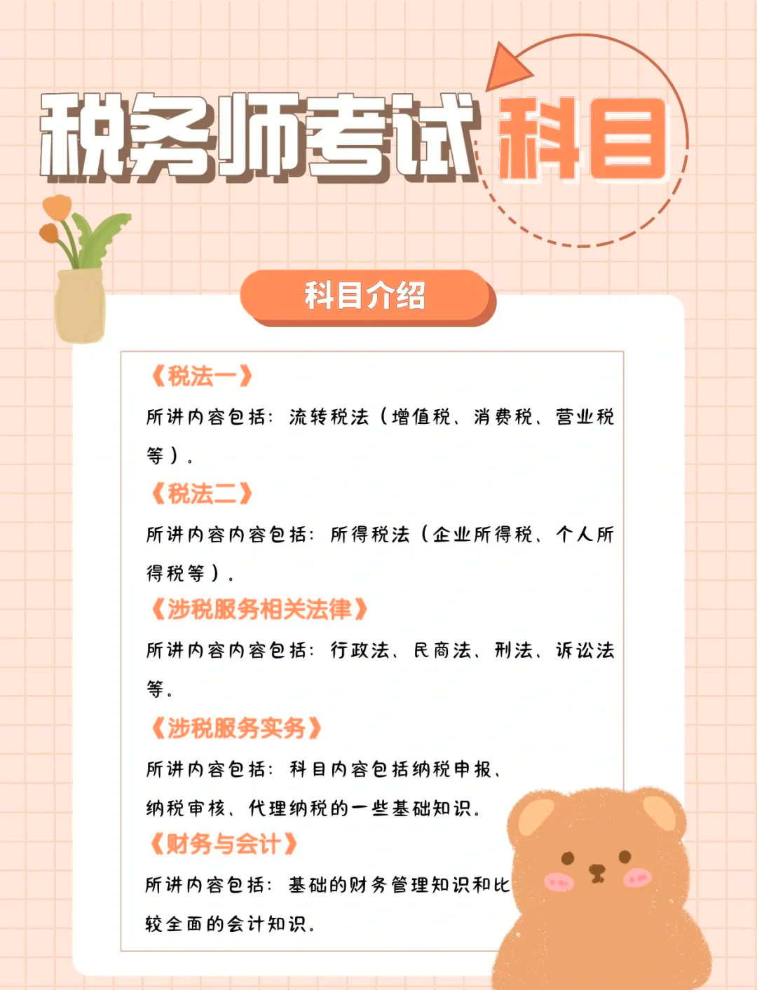 税务师考试要求详解与解析