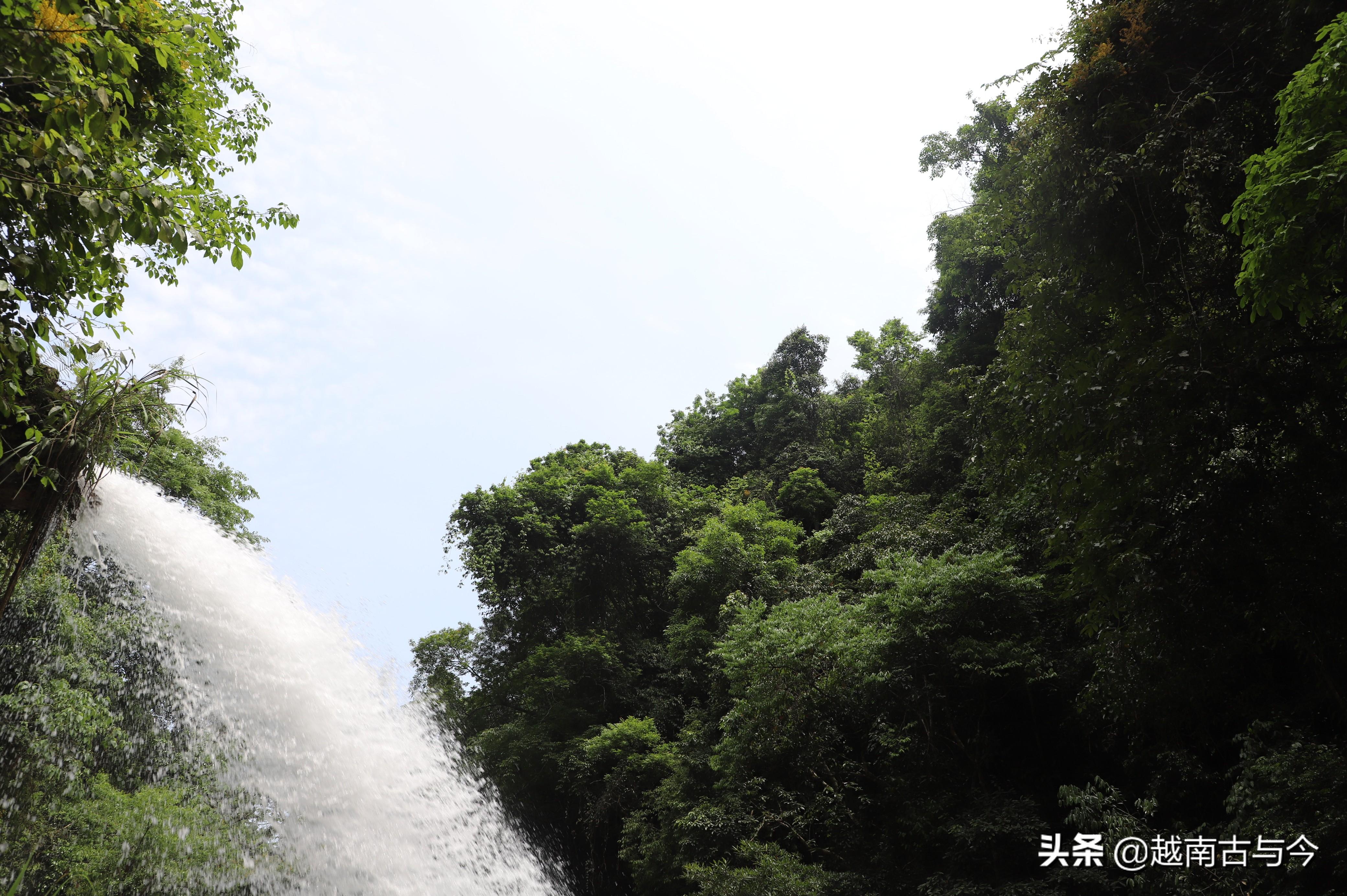 贵州税务局网上申报系统，高效便捷的税务服务体验