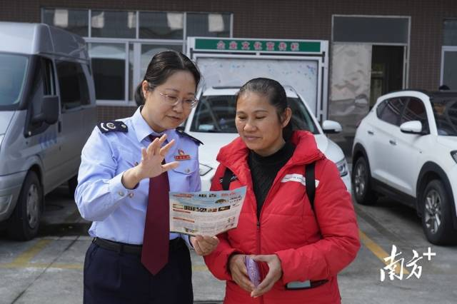 阳山税务，稳健税收体系与高效服务之道