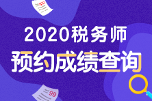 福建税务师，专业能力象征与财税领域领航者