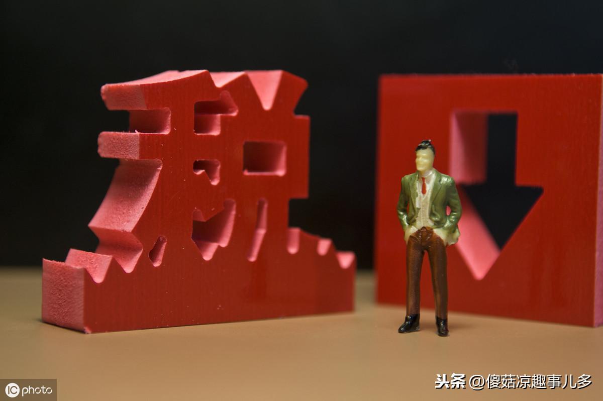 税务师暂行，专业角色、职责与重要性解析