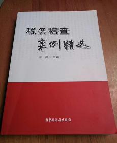 税务稽查预案，构建高效风险防范机制，保障税收安全稳定