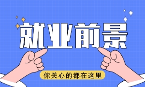 高级税务顾问，引领税务领域的专家领航者